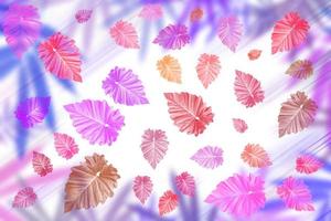 colorful leaves pattern on white background,gradient color pastel autumn leaf,ideas graphic design for web or banner photo