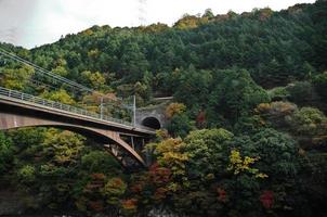 antiguo y romántico ferrocarril vintage en el profundo bosque de otoño en japón foto