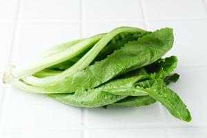 hojas de lechuga romana frescas y orgánicas aisladas en fondo blanco. imagen de enfoque selectivo foto