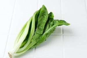 hojas de lechuga romana frescas y orgánicas aisladas en fondo blanco. imagen de enfoque selectivo foto