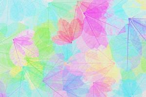 colorful leaves pattern on white leather texture,gradient color pastel autumn leaf,ideas graphic design for web or banner photo