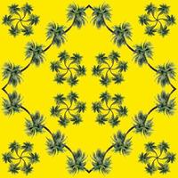 Green palm leaves pattern for nature concept,tropical coconut tree isolated on yellow background photo