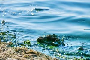 contaminación ambiental del agua foto