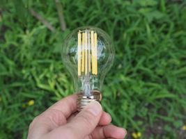 modern green led bulb in the grass photo