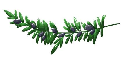 rama de olivo con hojas verdes vector