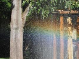 droplets of water by irrigation sprinkler device photo