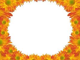 Sunflowers, gerbera background, border, clipart, card, invitation. Yellow, orange flowers. Wedding, Birthday card. photo