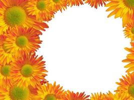 Sunflowers, gerbera background, border, clipart, card, invitation. Yellow, orange flowers. Wedding, Birthday card. photo