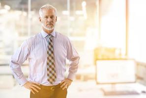 Senior businessman in his office photo