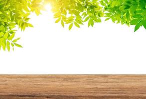 Green leaves with empty wooden table photo