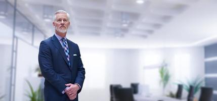 Senior businessman in his office photo