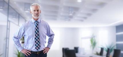 Senior businessman in his office photo