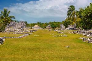 Iguana lizard in ancient ruins of Maya in El Rey Archaeological Zone near Cancun, Yukatan, Mexico photo