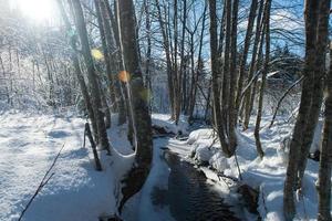 hielo del arroyo de invierno foto