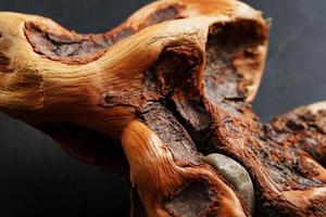 Textured curved wooden snag of brown color with texture as a background photo