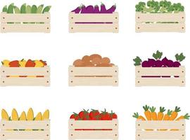 Set of different vegetables in wooden boxes. Carrot, tomato, corn, beet root, potatoe, pepper, aubergine, zucchini in boxes. Seasonal garden vegetables, organic food, harvest. Vector illustration.