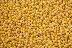 Yellow millet background. Healthy grains vegetarianism, Macro photo