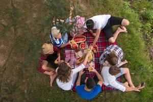 vista superior del grupo de amigos disfrutando del tiempo de picnic foto