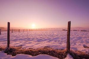 winter landscape scenic  with lonely tree photo