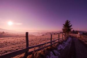 winter landscape scenic  with lonely tree photo