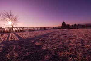 paisaje invernal escénico con árbol solitario foto