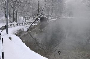 small wooden bridge at winter photo