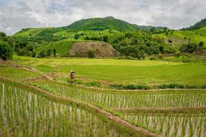 The rice terraces field in Chiangrai province of northern part of Thailand. photo