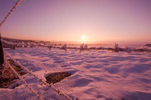 barbed wire fence in winter photo