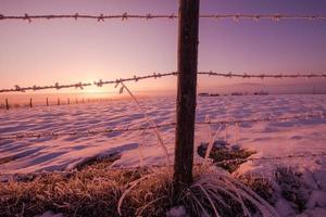 barbed wire fence in winter photo