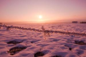 barbed wire fence in winter photo