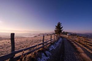 winter landscape scenic  with lonely tree photo