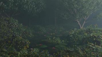 morning mist in the forest - Beautiful landscape - Drawing meadow in tropical forest photo