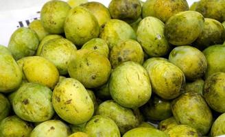 Mangifera Langra Mango photo