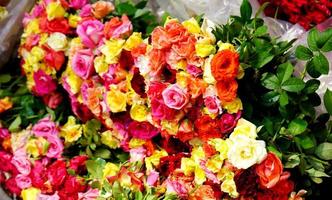 diferentes tipos y colores de rosas en el mercado de flores de howrah a la venta foto