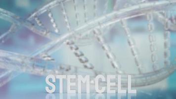 The  stem cell text on dna background for sci or medical concept 3d rendering photo