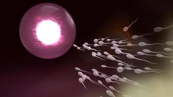 Sperm and ovary for sci content 3d rendering. photo