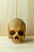 human skull on wood for body human or halloween content. photo