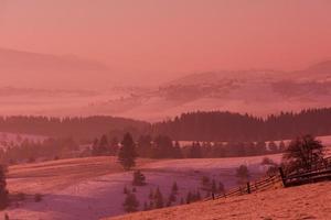 winter landscape scenic  with lonely tree photo