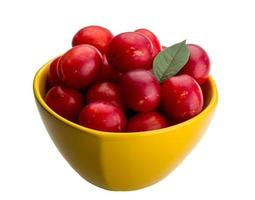 Damson plum in a bowl on white background photo