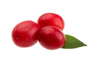 Damson plum on white background photo