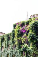 Building ruins and ancient columns  in Rome, Italy photo