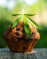 muffin cupcake and cannabis leaf, sweet marijuana food photo