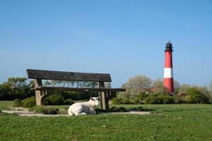 faro de pellworm, frisia del norte, alemania foto