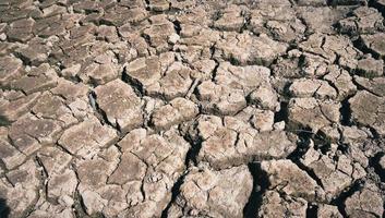 Fondo de textura de suelo de tierra agrietada seca, patrón de sequía falta de agua de la naturaleza vieja rota. foto