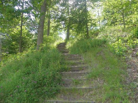 Steep stairs over grown with grass surrounded by trees photo