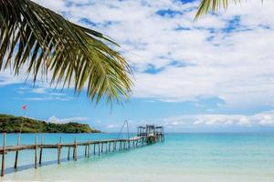 Palm leaves and bridge at sea. photo