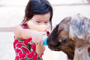 Adorable girls are happy to feed the animals. Child wearing orange cloth face mask, visit the zoo. Children feeds the brown-haired goats. Cute kids 4 years old went with his family on weekends. photo