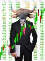 bull market, stock investment concept photo