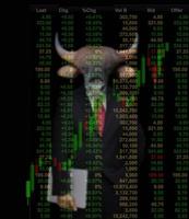bull market, stock investment concept photo
