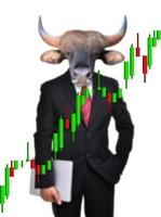 bull market, stock investment concept photo